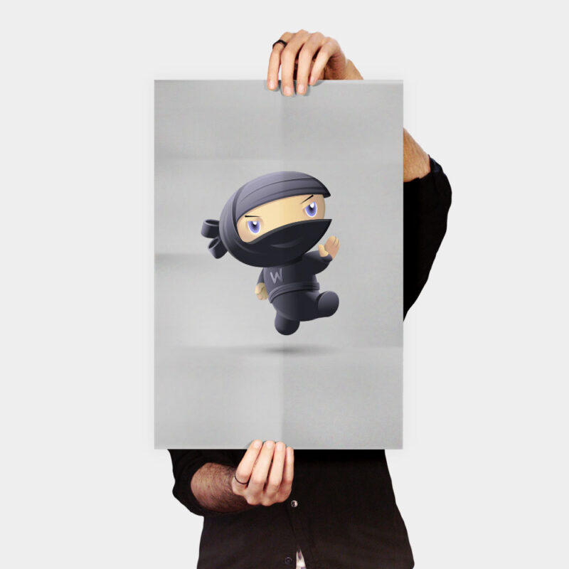 Flying Ninja - Image 1